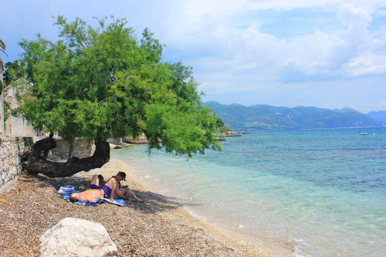 Apartments By The Sea Orebic, Peljesac - 4496 Luaran gambar